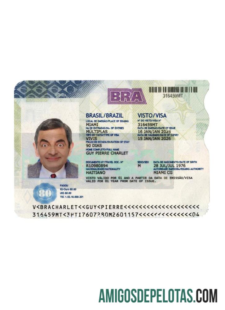 Visto de viagem para o Brasil 2025 presente modelo